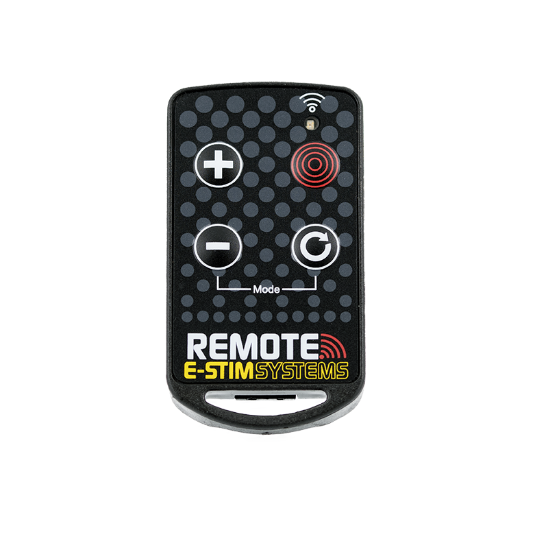 NEW Remote Keyfob Transmitter (New Remote System) - Click Image to Close